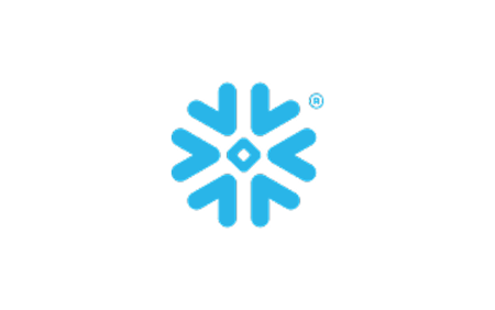 MS snowflake logo