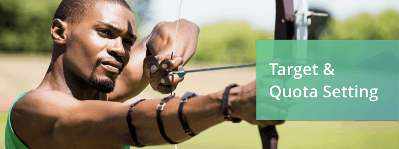 target & quota setting