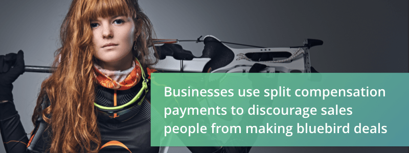 why split sales comp payments are a good idea