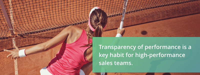 transparency of performance
