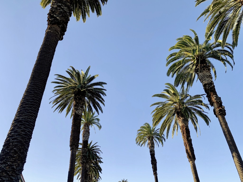 Culver City