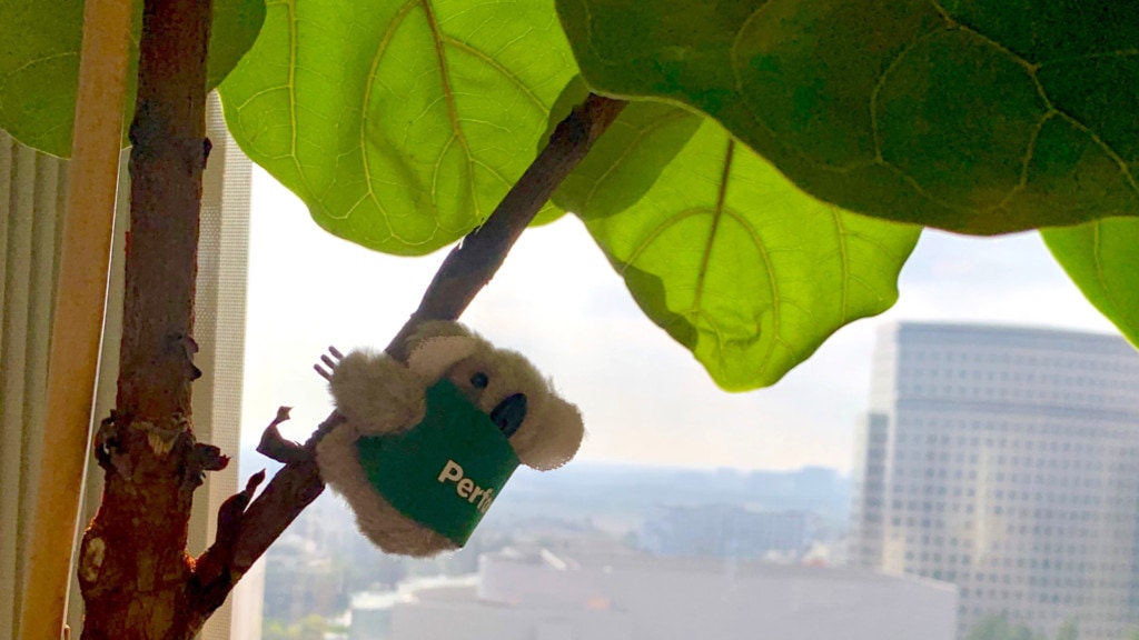 Spotlight on Sales Compensation Conference 2019 Koala