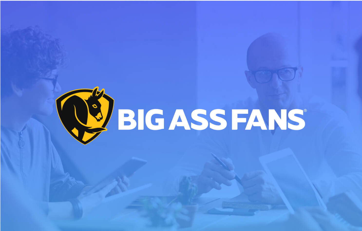 bigass